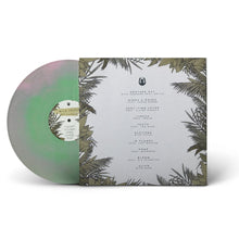 Load image into Gallery viewer, DABIN - Wild Youth - Cloudy Pink / Green - Vinyl LP