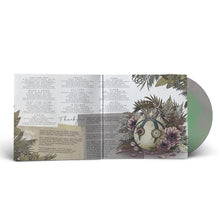 Load image into Gallery viewer, DABIN - Wild Youth - Cloudy Pink / Green - Vinyl LP