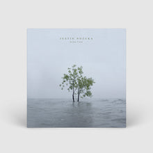 Load image into Gallery viewer, Justin Nozuka - Limited Edition Run To Waters Signed Poster Bundle + Album Download